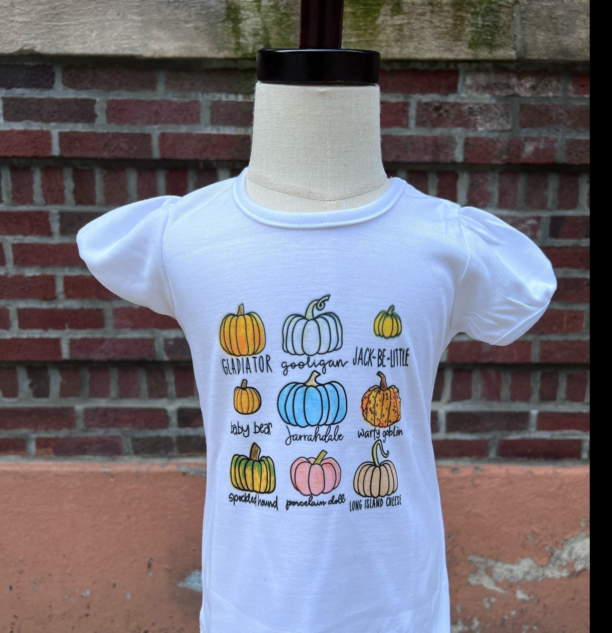 Fall Pumpkins Sublimation Tshirt - numonet